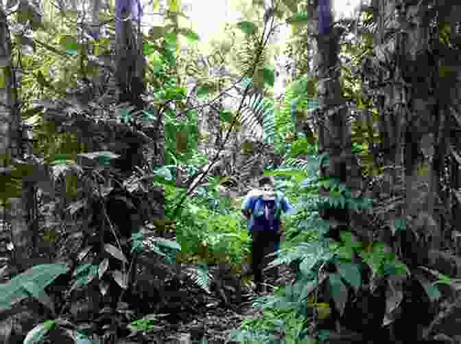 A Couple Hiking Through A Lush Rainforest In Costa Rica Meanderings July 2024: A Quarterly Travel Photography Magazine