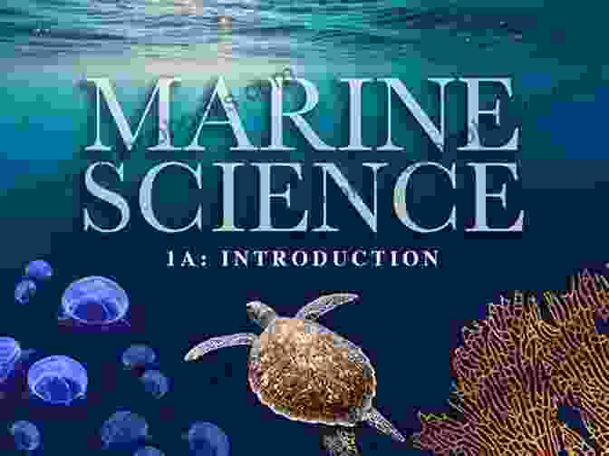 A Dedicated Marine Scientist Observes And Documents The Intricate Behavior Of Marine Creatures. Under The Sea Mark Leidner