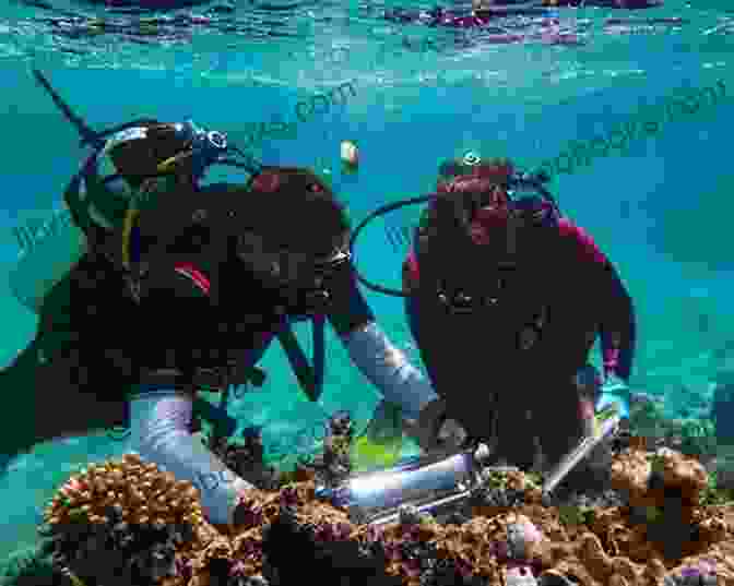 A Deep Sea Diver Exploring The Ocean Floor, Surrounded By Marine Life Oceanography And Mine Warfare Wilbur Smith