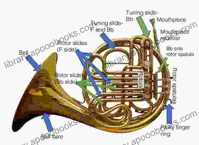 A Detailed Diagram Of The Natural Horn, Illustrating Its Various Components Playing Natural Horn Today: An Introductory Guide And Method For The Modern Natural Hornist