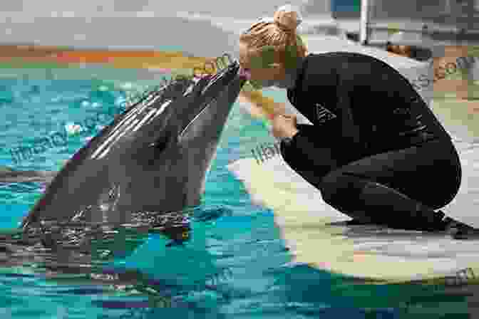 A Dolphin Interacting With A Human Dolphins: A Kid S Of Cool Images And Amazing Facts About Dolphins (Nature For Children 5)