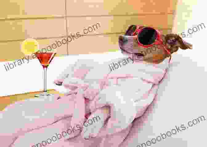 A Pampered Pet Enjoying A Luxurious Bath Pets Of Park Avenue (Paws In The City 2)