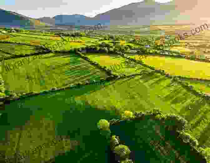 A Panoramic View Of The Rolling Hills And Lush Greenery Of The Irish Countryside, Evoking The Landscape That Inspires Seamus Heaney's Poetry. The Spirit Level: Poems Seamus Heaney