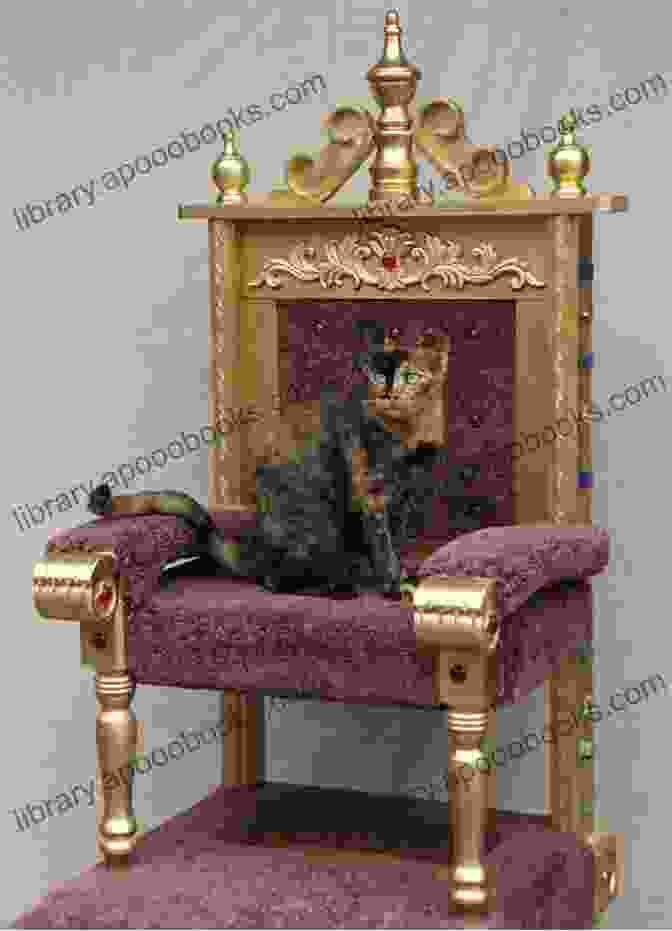 A Photo Of A Beautiful Pedigree Cat Sitting Gracefully On A Cushioned Throne. The Best Cat In Show