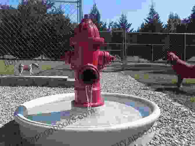 A Water Fountain Designed For Dogs In Fur Haven Dog Park A Tail For Two (Fur Haven Dog Park 2)