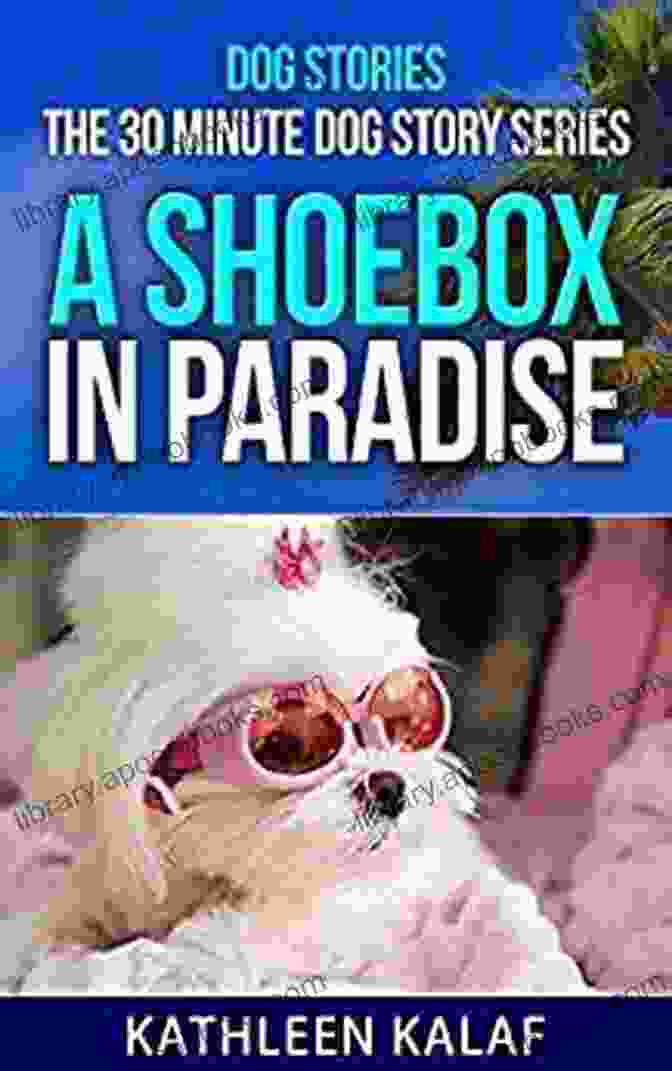 Book Cover For 'The 30 Minute Dog Story Shoebox In Paradise' Dog Stories: The 30 Minute Dog Story A Shoebox In Paradise