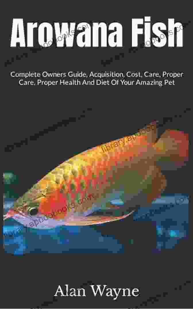 Brushing A Cat Silver Arowana Owners Manual : The Essential Guide For Beginners On The Care Training Grooming Breeding Health And More For Your Amazing Pet