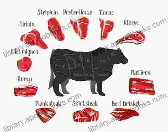 Diagram Depicting Various Steak Cuts How To Cook A Steak: Taste Of Meat