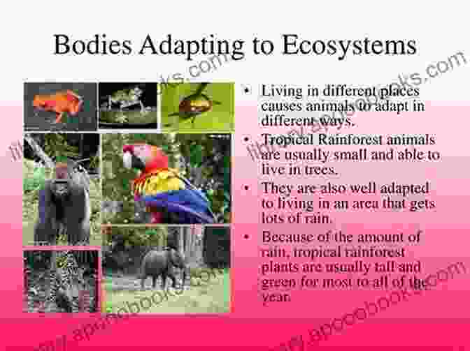 Diverse Adaptations Of Animals In Various Ecosystems Move Or Die : How Plants And Animals React To Changing Environments Ecology Grade 3 Children S Environment