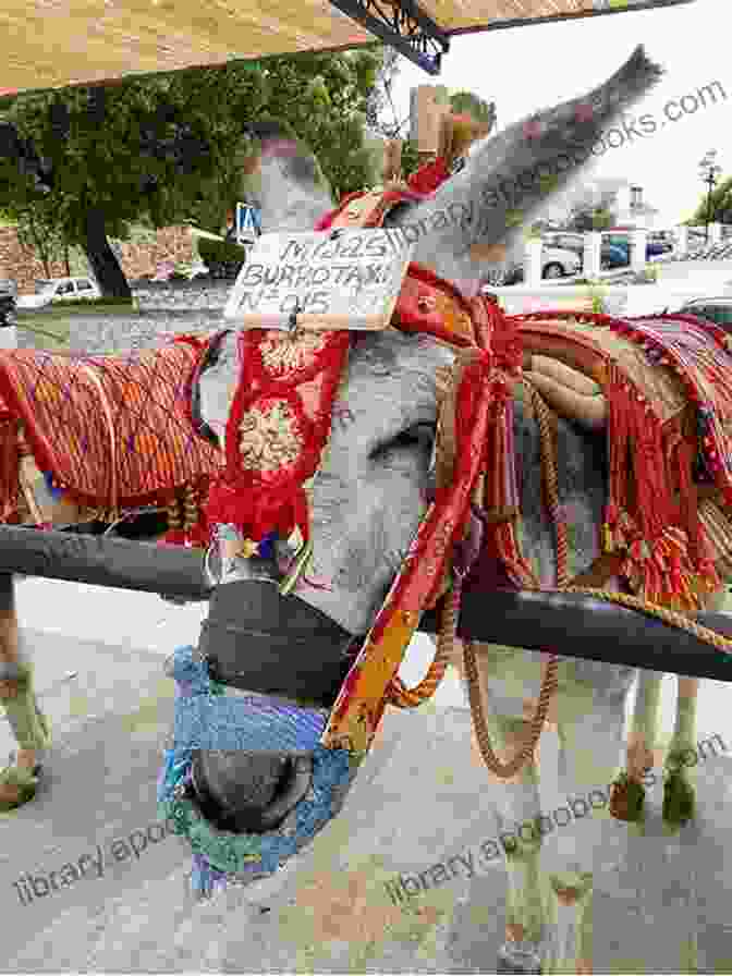 Donkey Taxis In The Charming Town Of Mijas The Road To Manilva: Exploring A Forgotten Corner Of The Costa Del Sol (Visit Andalucia)