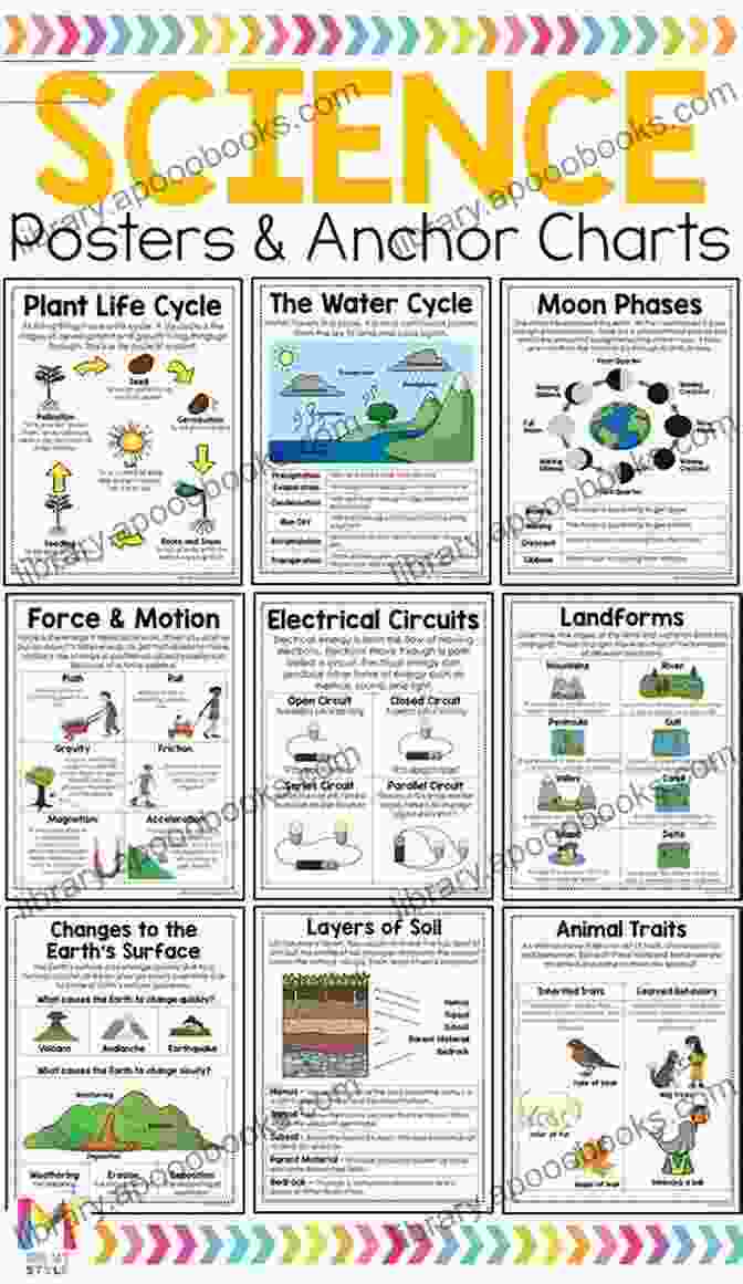 Exercise Important Facts About Your Health Science 3rd Grade Children S Biology