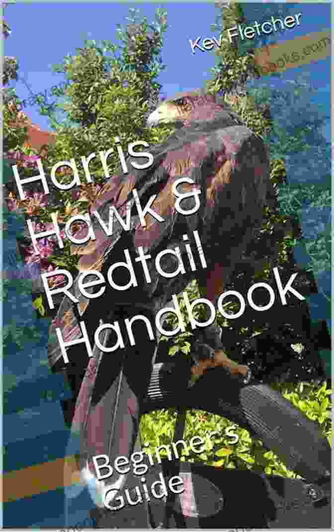 Falconry Equipment Harris Hawk Redtail Handbook: Beginner S Guide