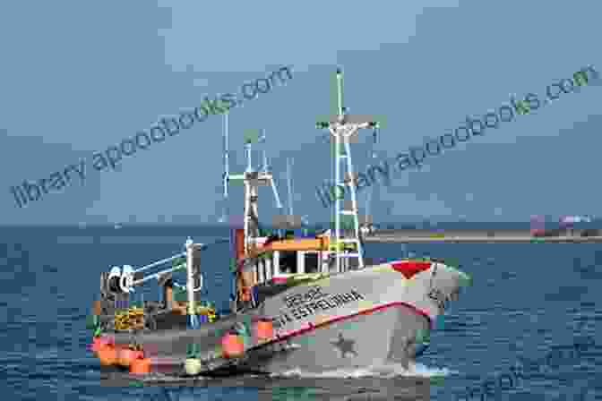 Fishing Vessel At Sea Quo Vadis Common Fisheries Policy?