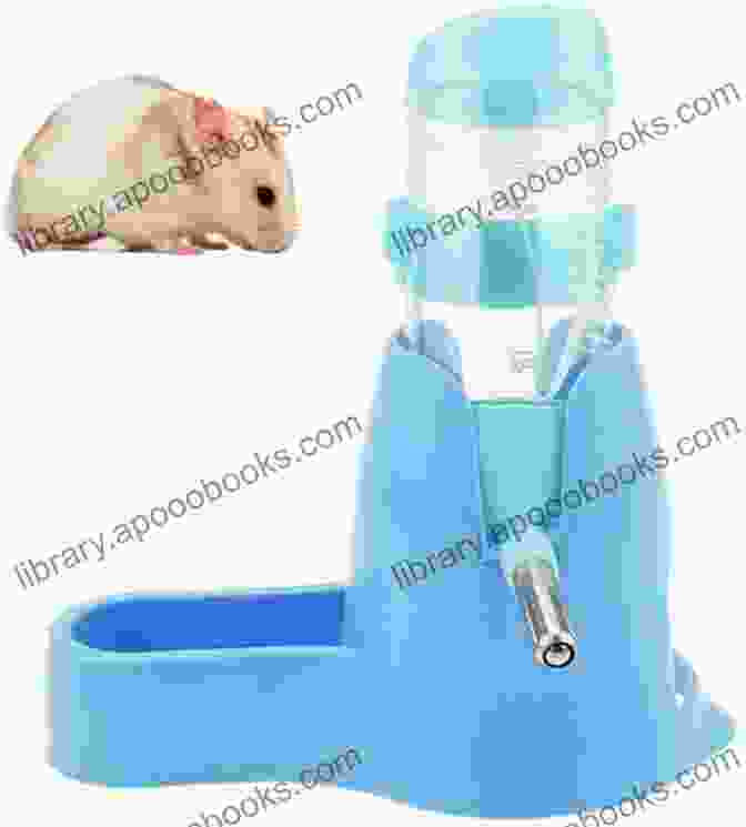 Fresh Water In A Hamster Water Bottle How To Have A Happy Healthy Hamster An A To Z Guidebook On Hamster Raising And Caring: About Mice