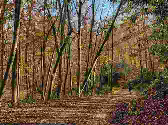 Hikers Enjoying The Scenic Bent Creek Experimental Forest Trails Best Hikes Near Asheville North Carolina (Best Hikes Near Series)