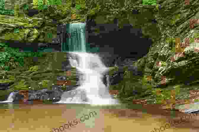 Hikers Marveling At The Cascading Beauty Of Catawba Falls Best Hikes Near Asheville North Carolina (Best Hikes Near Series)