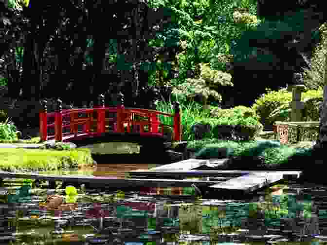 Jardim Botânico, A Botanical Garden In Rio De Janeiro Top Ten Sights: Rio De Janeiro