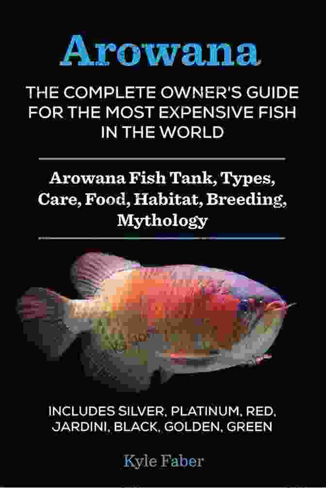 Kittens Finding Homes Silver Arowana Owners Manual : The Essential Guide For Beginners On The Care Training Grooming Breeding Health And More For Your Amazing Pet