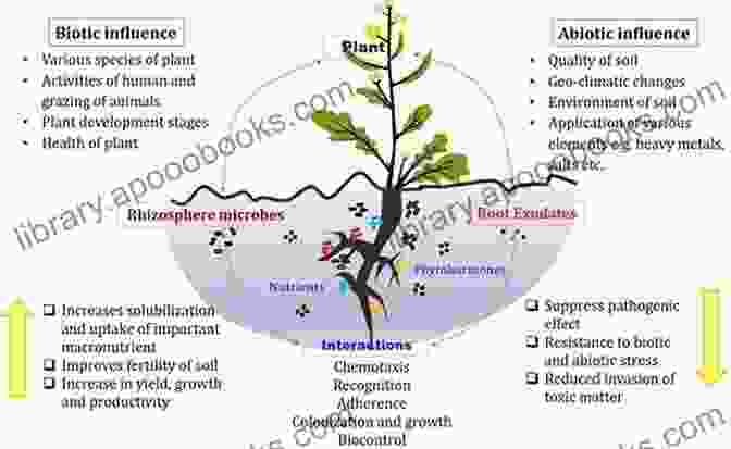 Mineral Organic Interactions Pave The Way For Life's Emergence The Cell: Nature S First Life Form (New Biology)