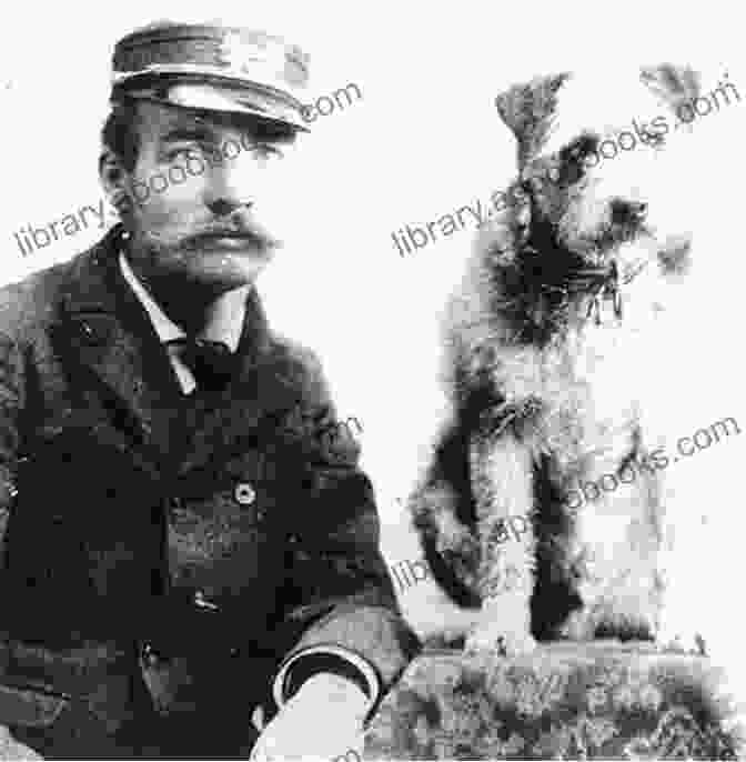 Owney, A Character In The Novel Any Friend Of Owney S Patricia Steele