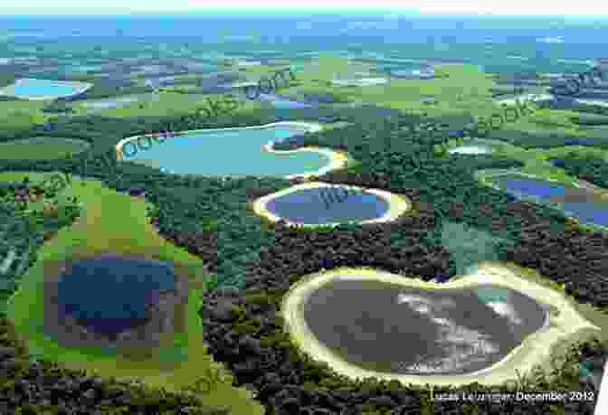 Panoramic View Of The Pantanal Wetlands, Showcasing Its Vast Grasslands, Winding Rivers, And Abundant Wildlife. Pantanal Tales Of A Tour Guide