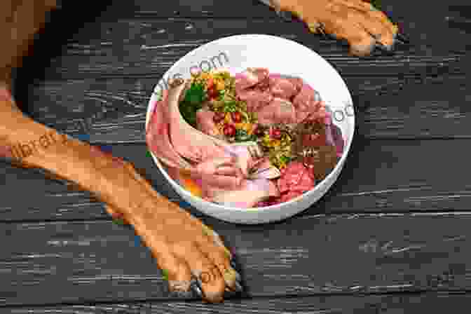 Raw Food For Dogs Options Switch Your Dog To A Raw Diet: Complete Guide To Start Raw Food For Dogs