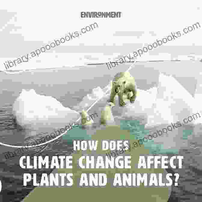 Resilience Of Plants And Animals In Changing Environments Move Or Die : How Plants And Animals React To Changing Environments Ecology Grade 3 Children S Environment