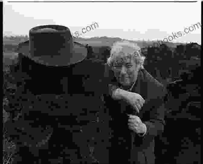 Seamus Heaney Walking Through A Boggy Landscape Poems 1965 1975 Seamus Heaney