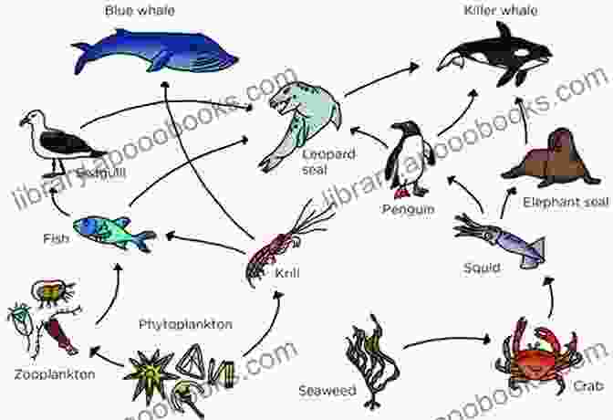 Symbiotic Relationships And Food Webs In Ecosystems Move Or Die : How Plants And Animals React To Changing Environments Ecology Grade 3 Children S Environment