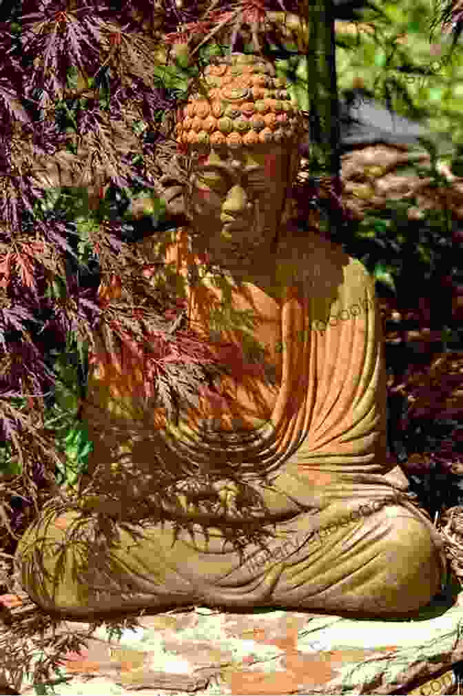 Zen For Beginners Book Cover Showing A Serene Buddha Statue In A Garden Zen For Beginners Judith Blackstone