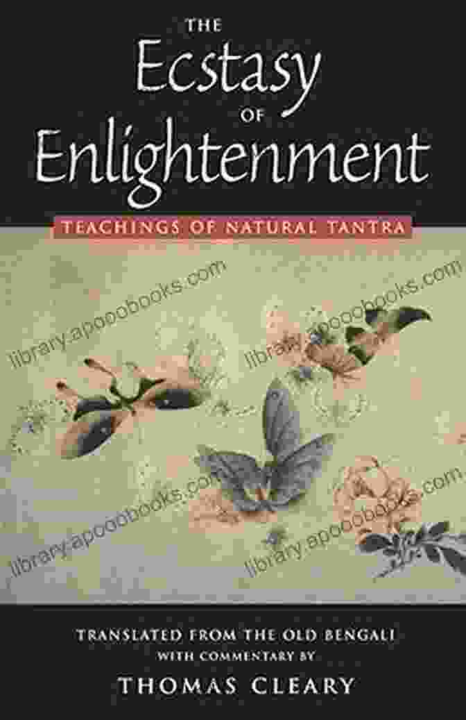 Zen Practice: A Path To Enlightenment By Thomas Cleary Zen Practice Thomas Cleary