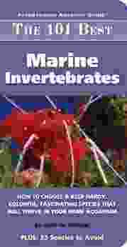 101 Best Marine Invertabrates (Adventurous Aquarist Guide)