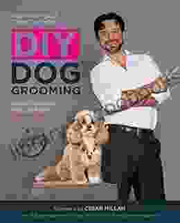 DIY Dog Grooming From Puppy Cuts to Best in Show: Everything You Need to Know Step by Step