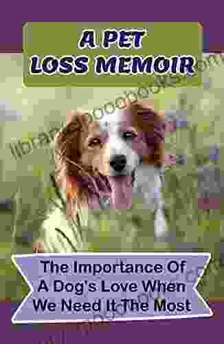 A Pet Loss Memoir: The Importance Of A Dog s Love When We Need It The Most: The Adventures Of A Canine Caregiver