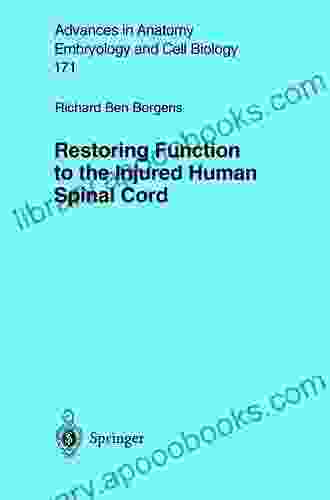 Restoring Function To The Injured Human Spinal Cord (Advances In Anatomy Embryology And Cell Biology 171)