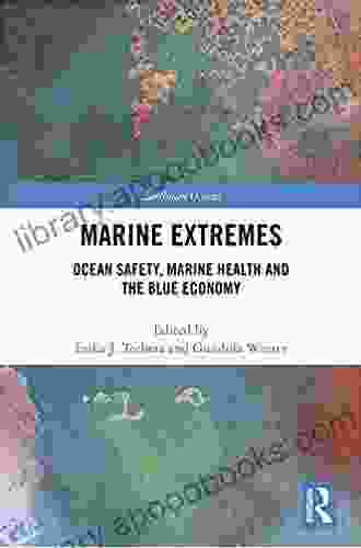 Marine Extremes: Ocean Safety Marine Health And The Blue Economy (Earthscan Oceans)